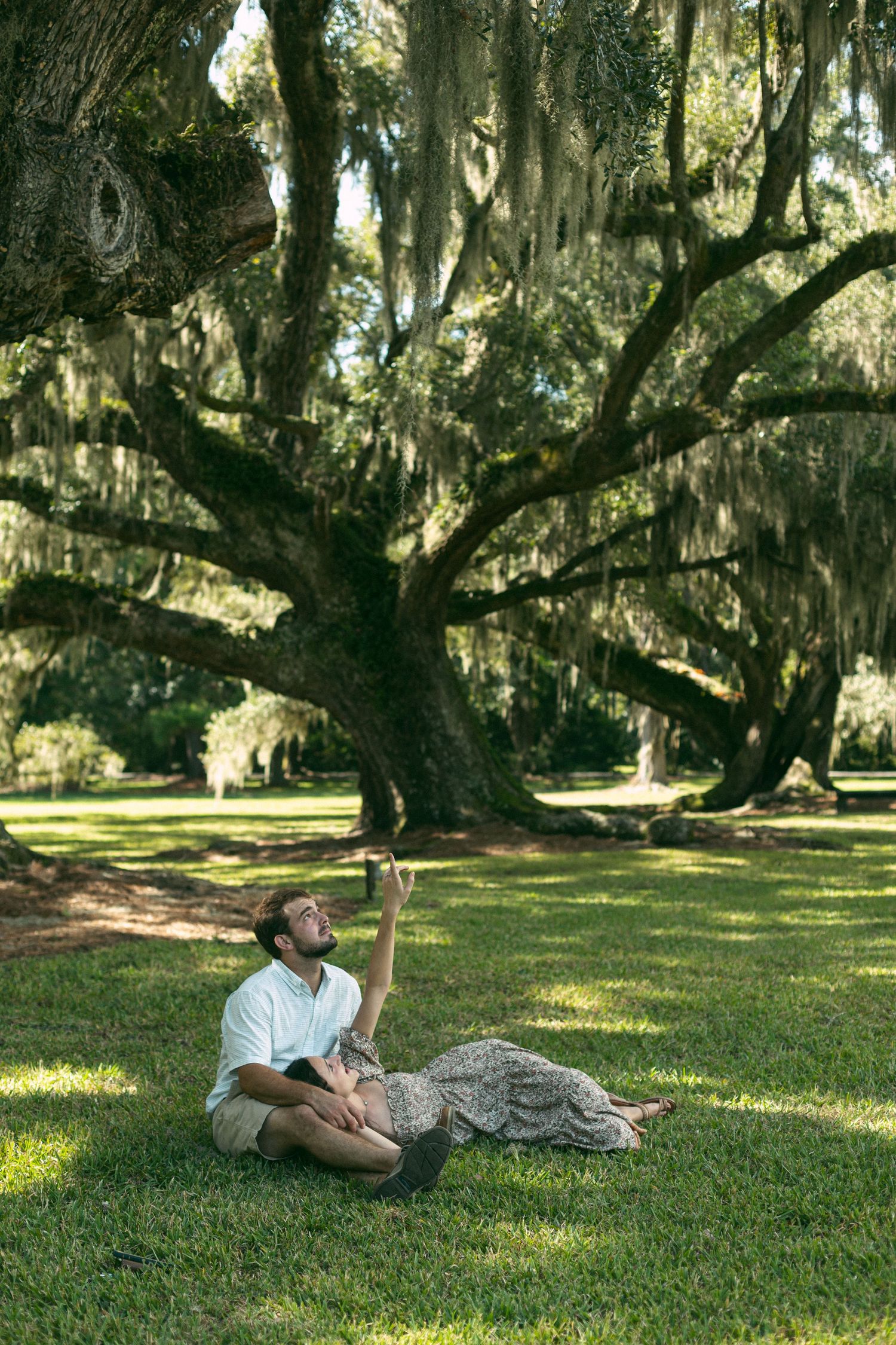 A romantic scene beneath a majestic Spanish moss-covered oak tree in a Southern garden.