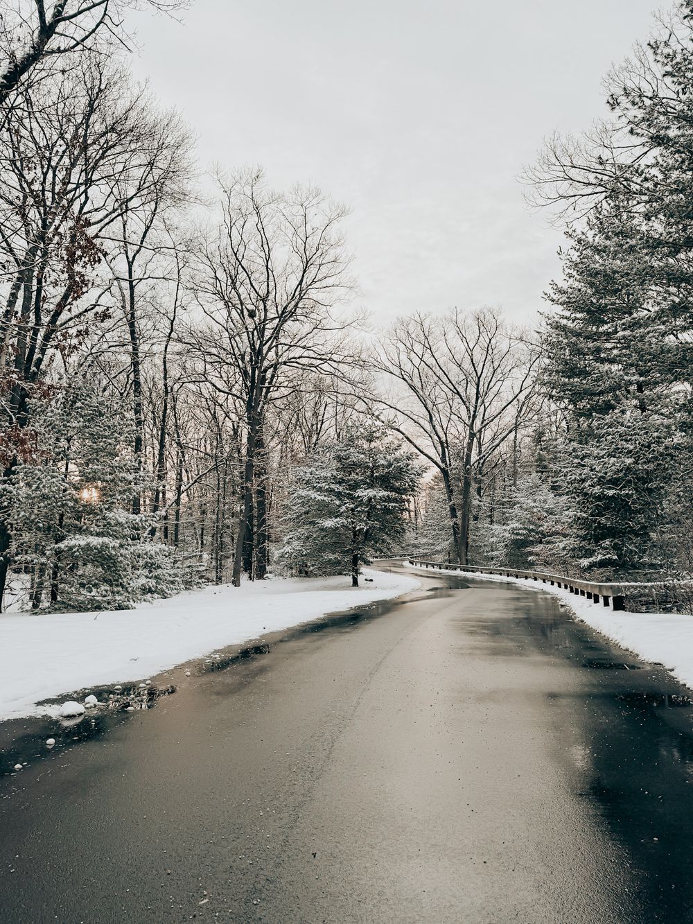 A winding winter road through snow-covered trees and evergreens on a gray overcast day.