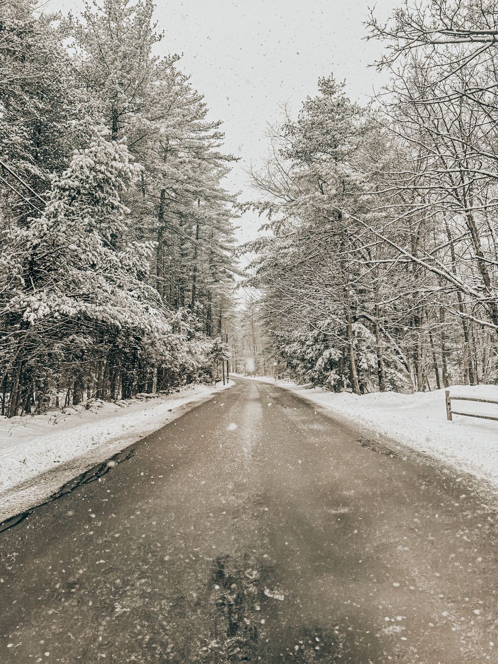 Snow covered rural road winds through a forest of tall pine trees in winter with falling snowflakes.