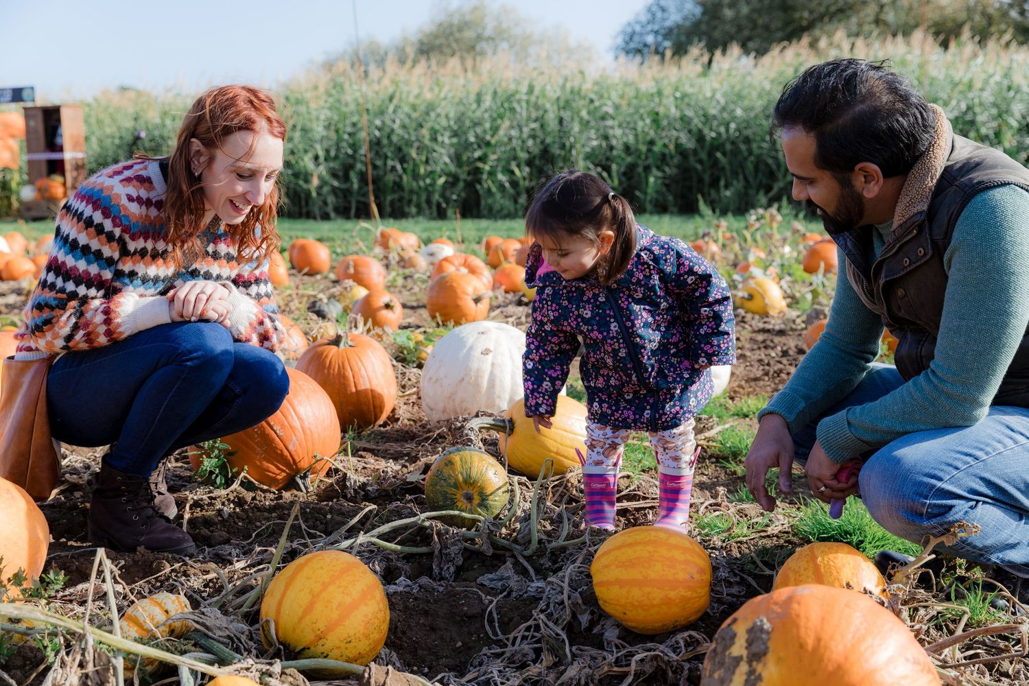 Three people selecting pumpkins together in an autumn pumpkin patch.  Photographer. Hull. East Yorkshire. Photography