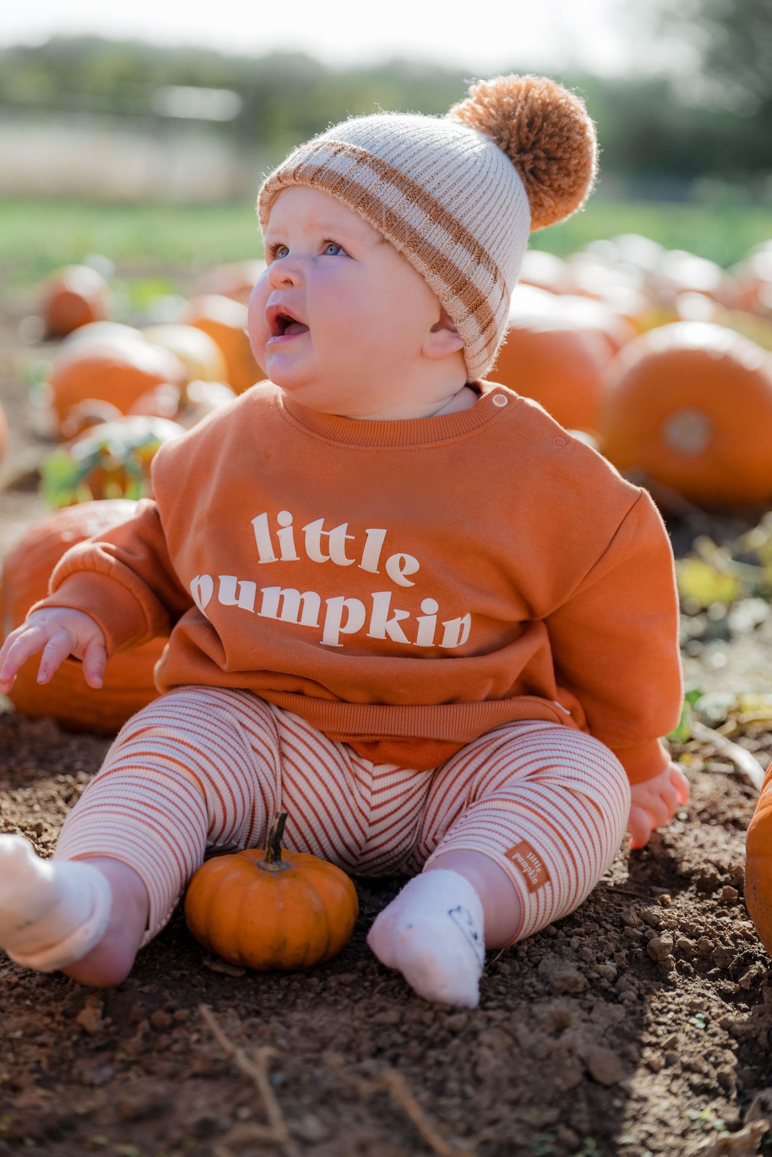 Baby wearing orange 'Little Pumpkin' outfit lying among real pumpkins in a patch. Photographer. Hull. East Yorkshire.