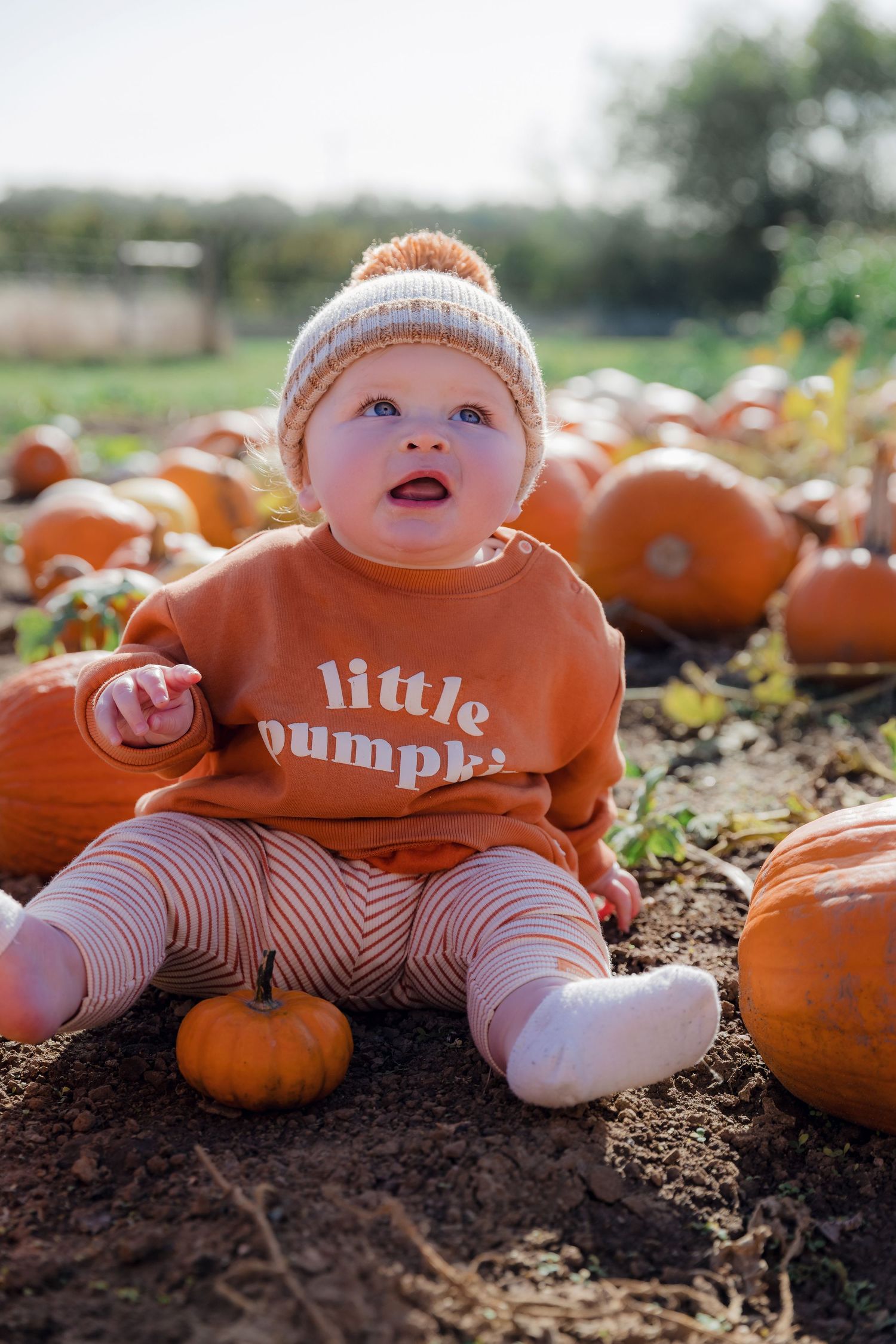 Baby in festive autumn outfit lying on soil surrounded by orange pumpkins. Photographer. Hull. East Yorkshire.
