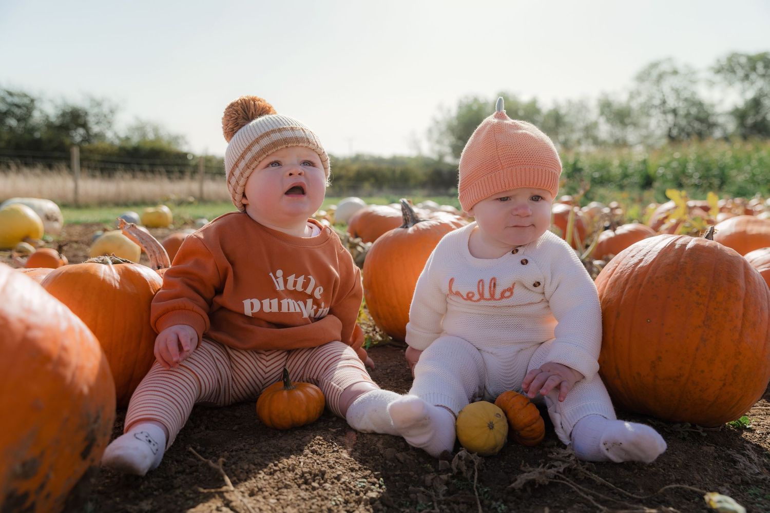 Series of sweet moments captured with baby in pumpkin-themed clothing at harvest patch. Photographer. Hull. East Yorkshire.