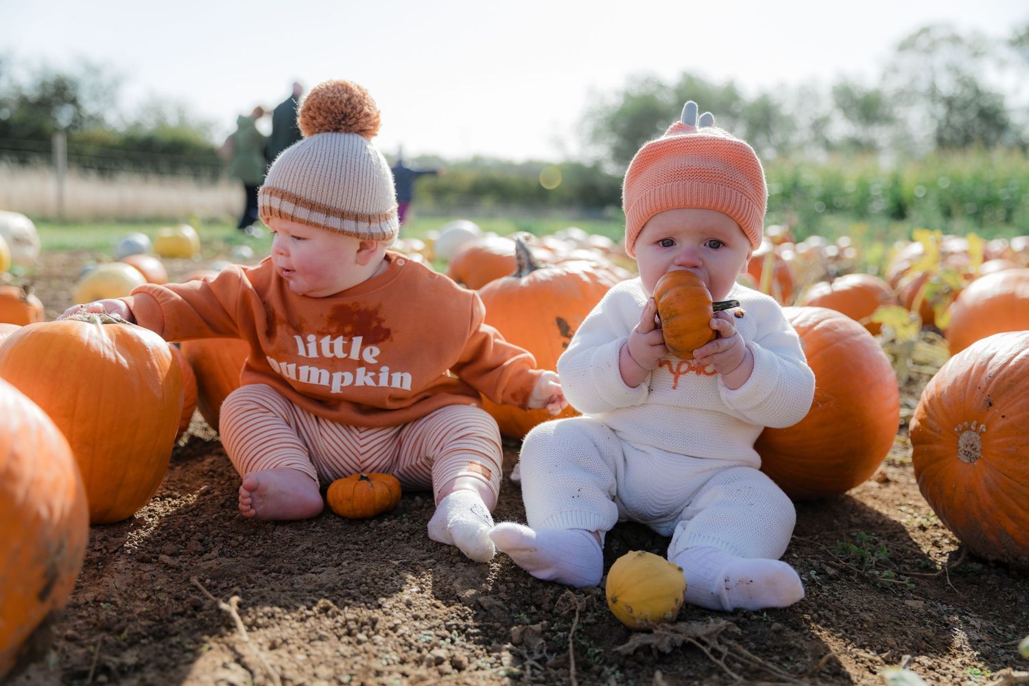 Small infant wearing orange and white clothing posed among pumpkins on dirt ground. Photographer. Hull. East Yorkshire.