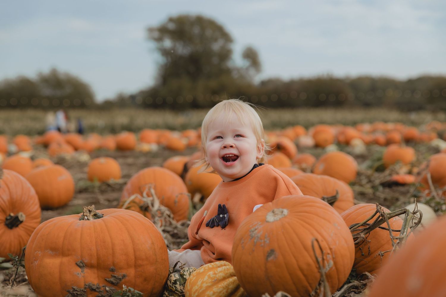 A joyful moment captured in a vast pumpkin patch under cloudy skies.  Photographer. Hull. East Yorkshire. Photography