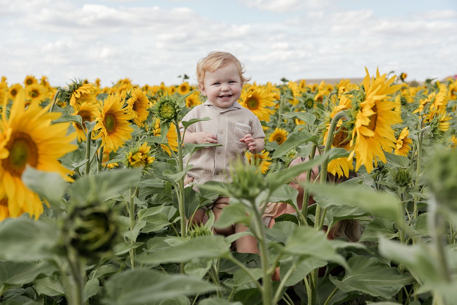 Bright yellow sunflowers stretch across a field under a cloudy summer sky.  Photographer. Hull. East Yorkshire. Photography