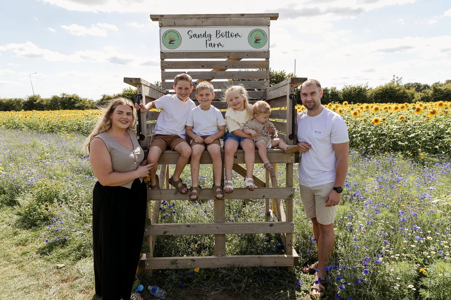 A rustic wooden bench provides seating in a sunflower field during golden hour.  Photographer. Hull. East Yorkshire. Photography