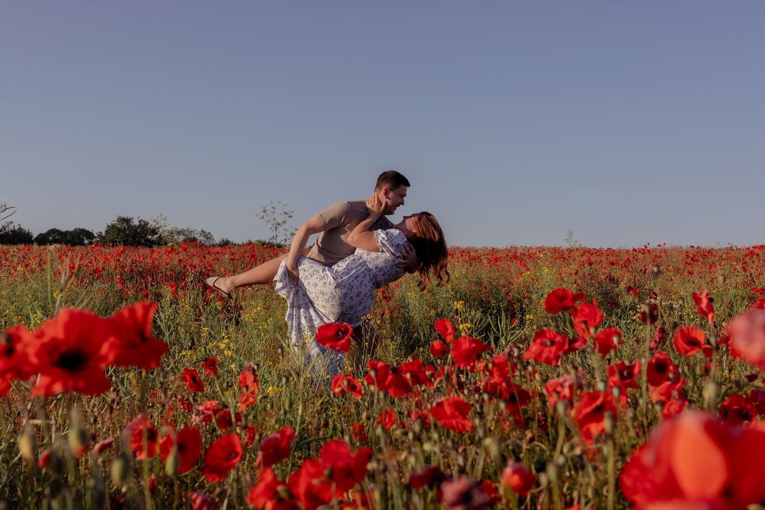 Stunning field of bright red poppies blooming under clear blue sky. Photographer. Hull. East Yorkshire. Photography
