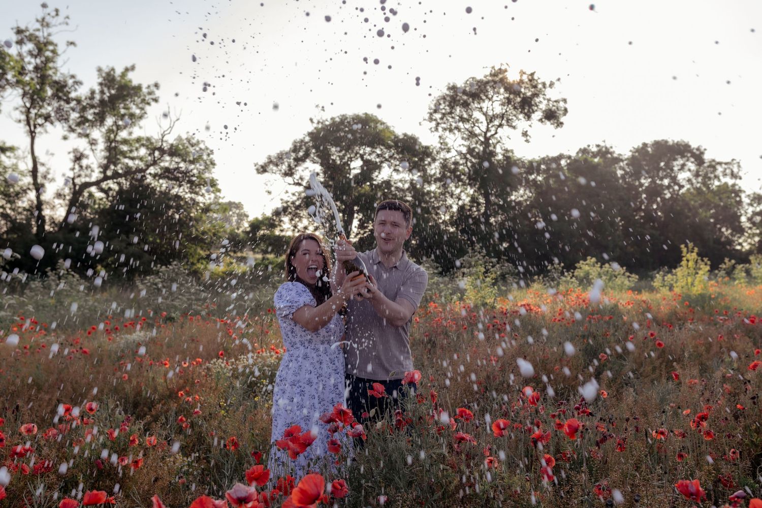 Red poppy petals floating through the air in a summer field at golden hour. Photographer. Hull. East Yorkshire. Photography