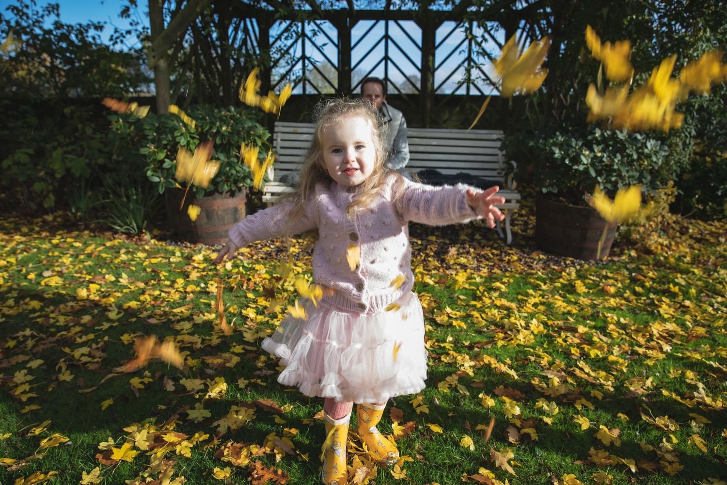 Yellow autumn leaves frame a scene in a garden with scattered fall foliage. Photographer. Hull. East Yorkshire. Photography