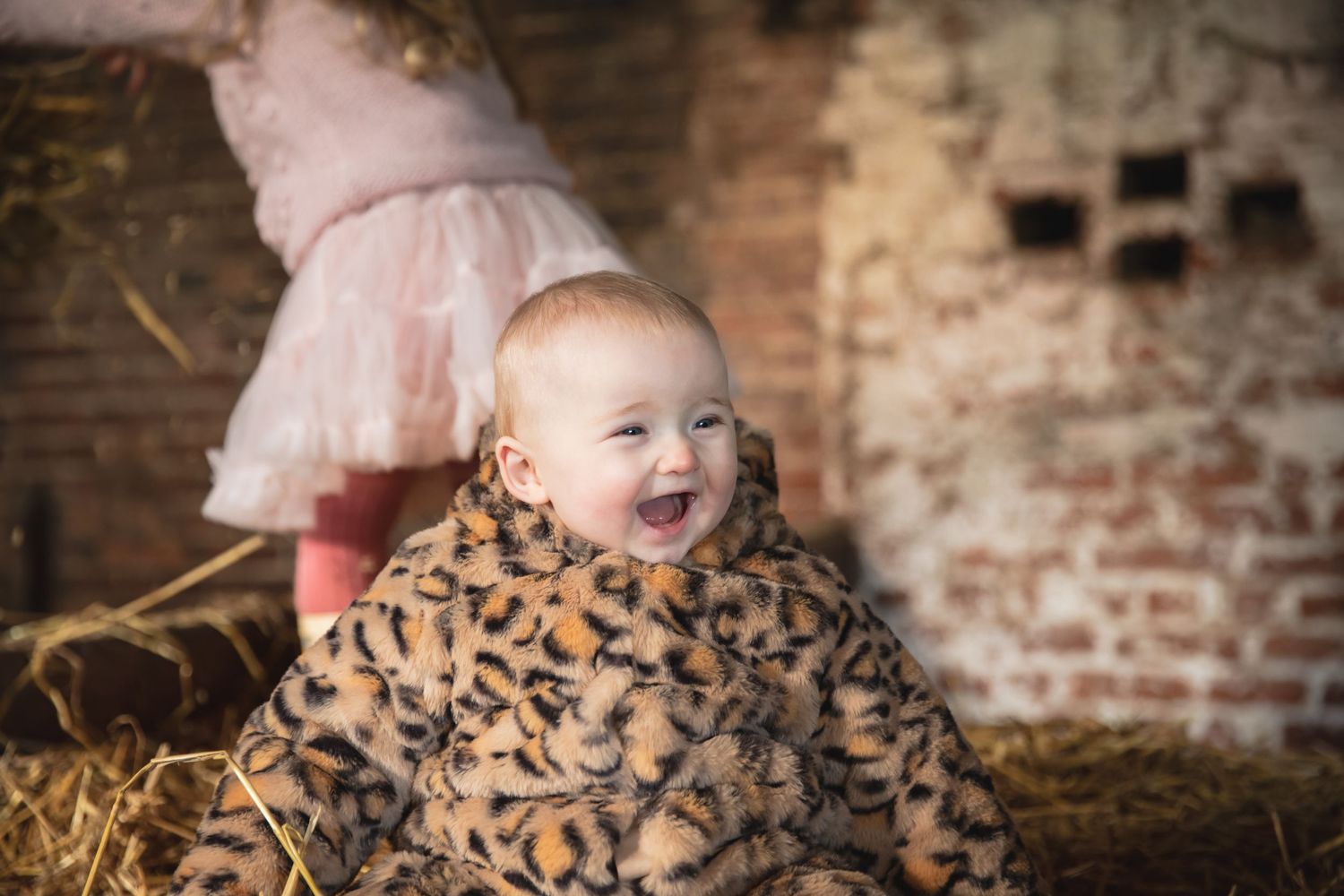 A rustic barn setting with straw-covered floor and weathered brick walls creates a cozy autumn atmosphere. Photographer. Hull. East Yorkshir