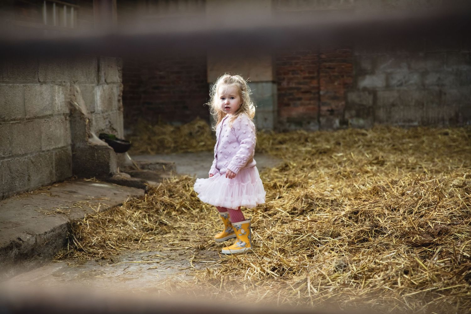 Straw-covered floors and rustic brick walls create an atmospheric autumn setting. Photographer. Hull. East Yorkshire. Photography