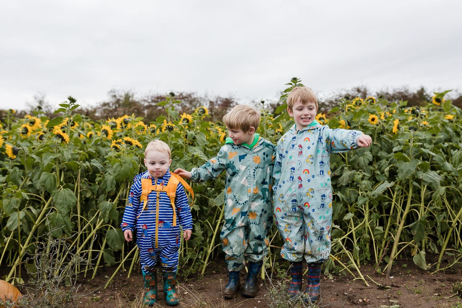 Children explore a sunflower field with pumpkins on an autumn day. Photographer. Hull. East Yorkshire. Photography
