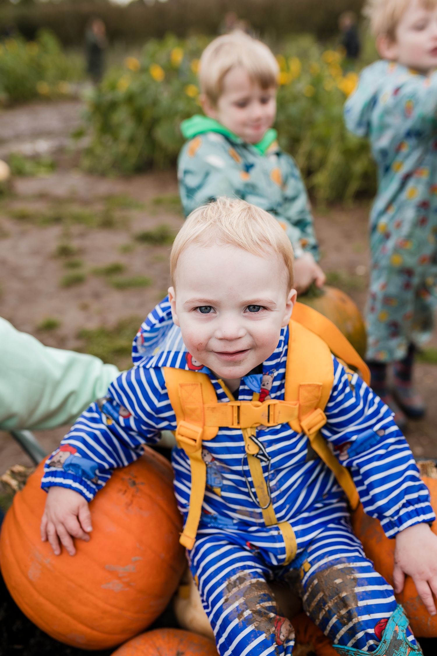 Small child in striped shirt and orange backpack sits with pumpkins in a garden field. Photographer. Hull. East Yorkshire. Photography