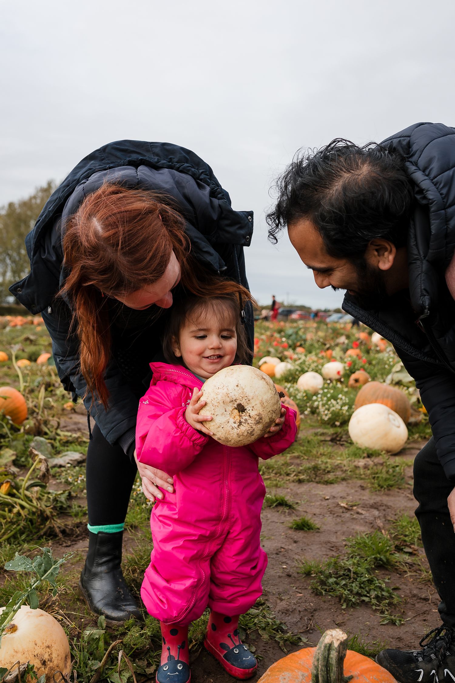Child in bright pink coat exploring a pumpkin patch during fall harvest season. Photographer. Hull. East Yorkshire. Photography