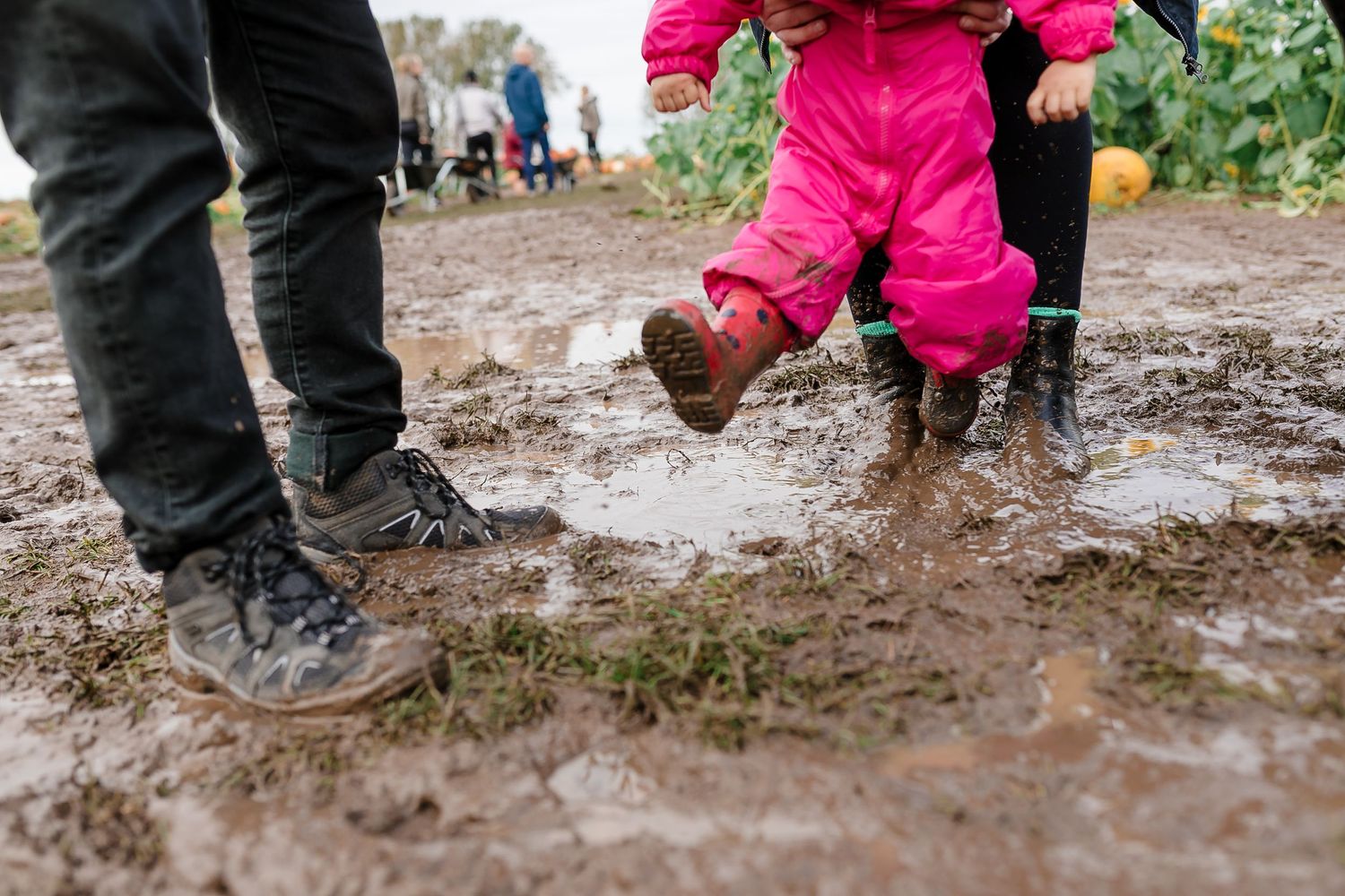 Muddy boots and feet walking through wet pumpkin patch. Photographer. Hull. East Yorkshire. Photography