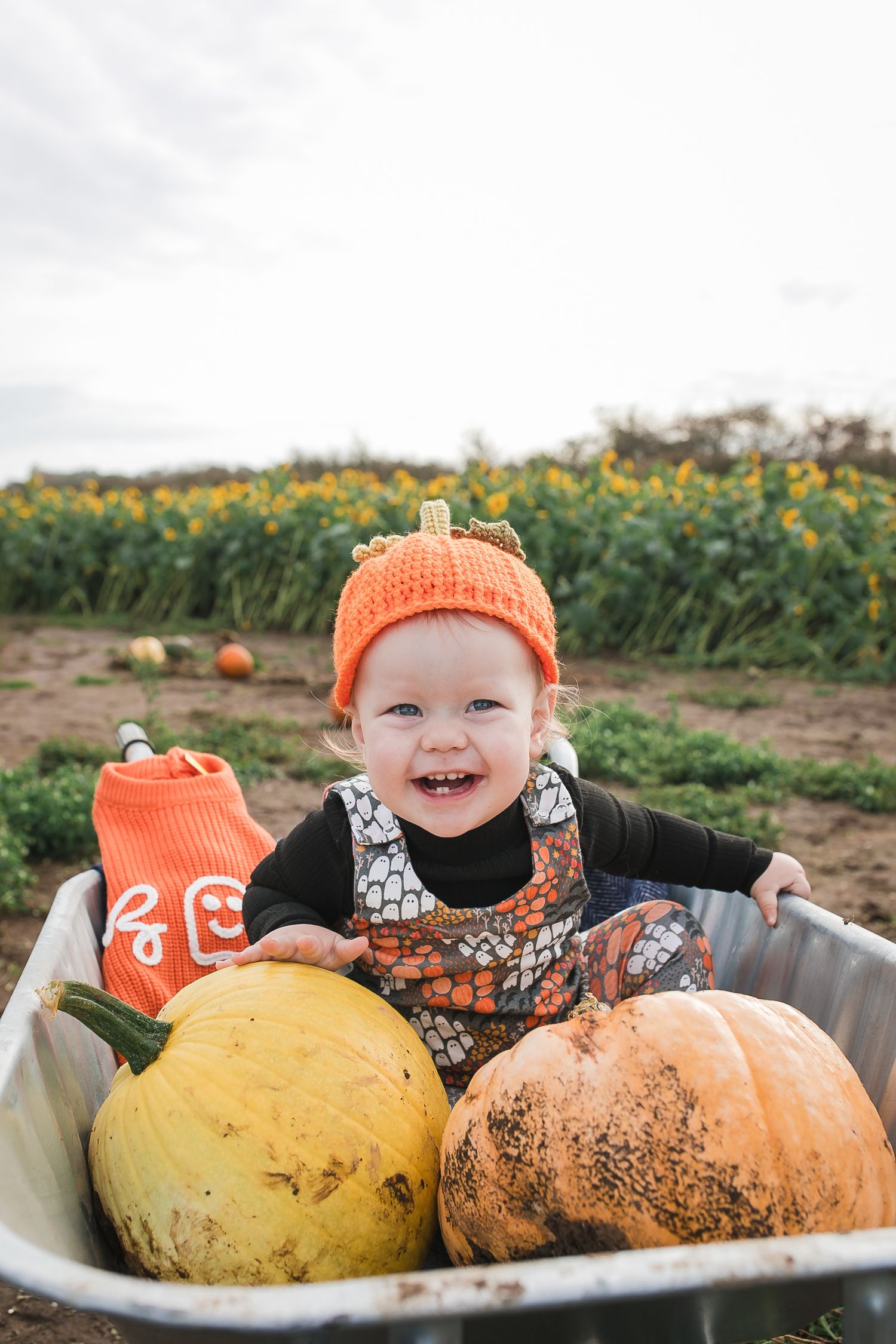 Smiling baby in orange hat sits among large pumpkins during fall harvest. Photographer. Hull. East Yorkshire. Photography