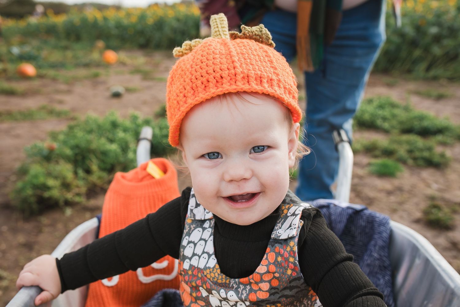 Happy baby in orange beanie explores pumpkins at an autumn farm. Photographer. Hull. East Yorkshire. Photography