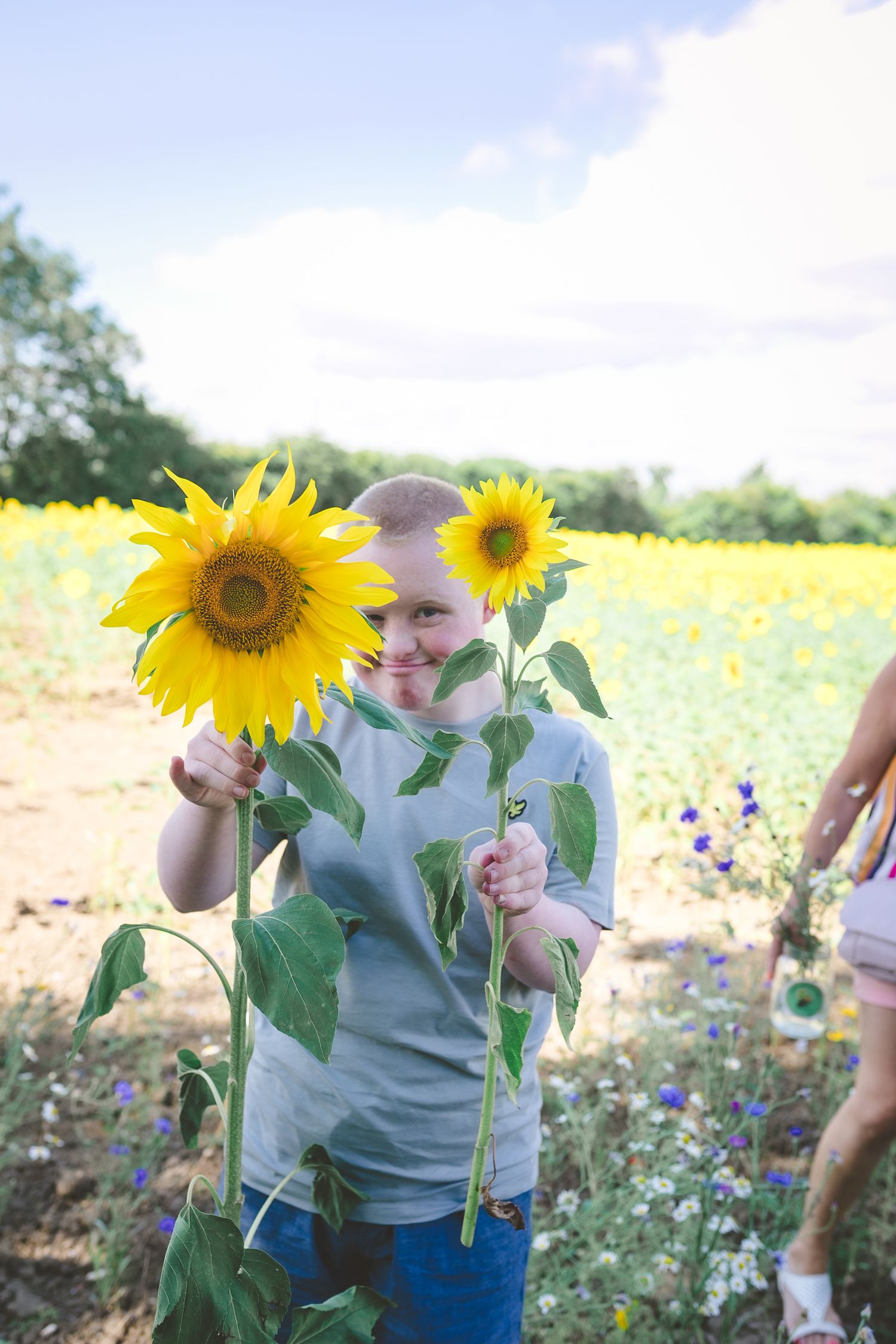 Cheerful moment in a sunflower field with tall blooming sunflowers on a sunny day. Photographer. Hull. East Yorkshire. Photography