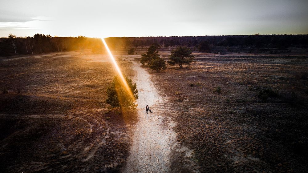 A dirt path cuts through an arid desert landscape at sunset with long shadow and sunburst effect.