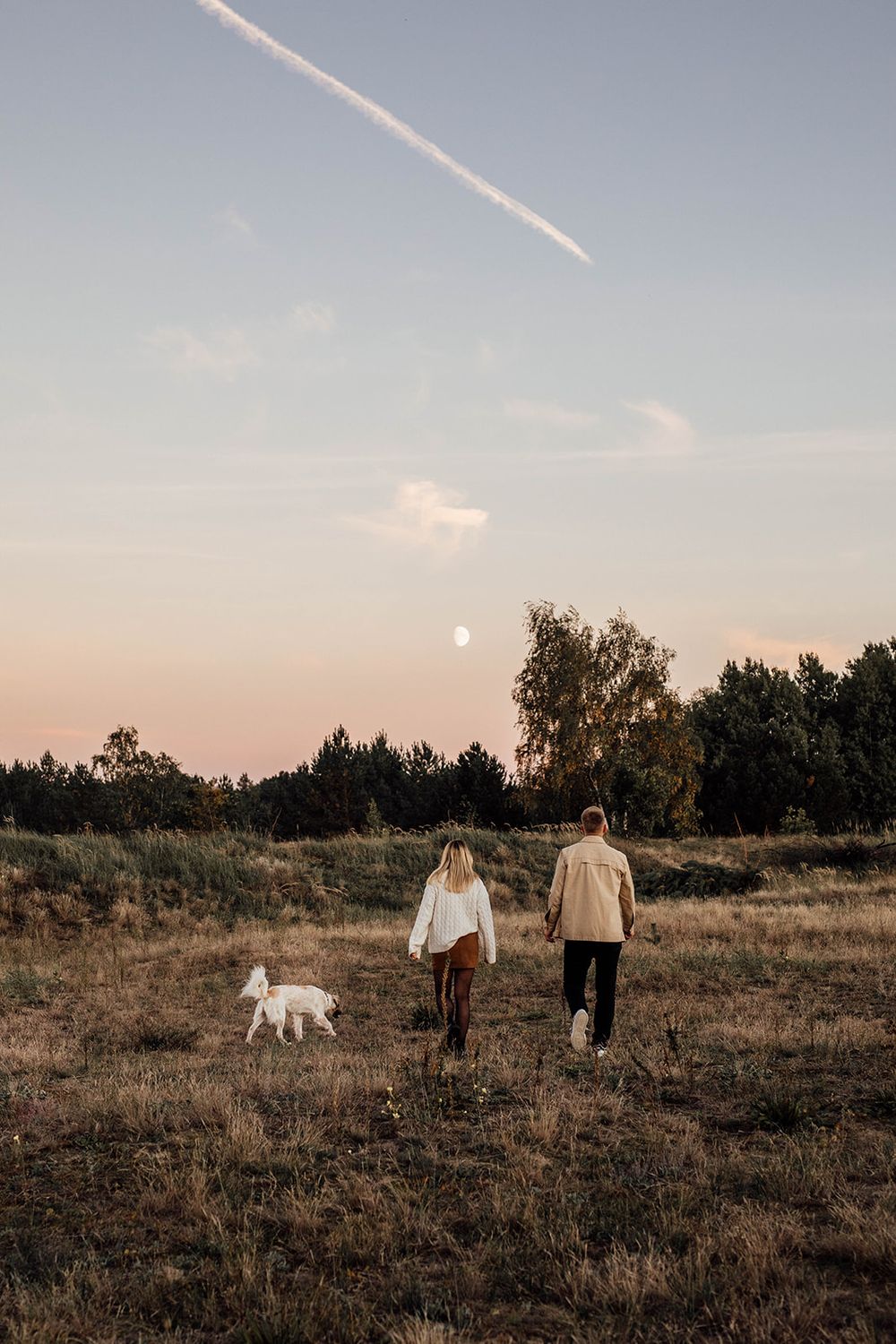 Couple walking with small white dog through golden field at sunset with contrail in pastel sky.
