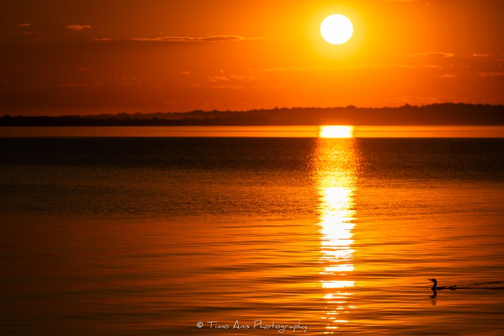 Dramatic sunset series over a tranquil lake with golden sun reflections creating a warm glow across the water.