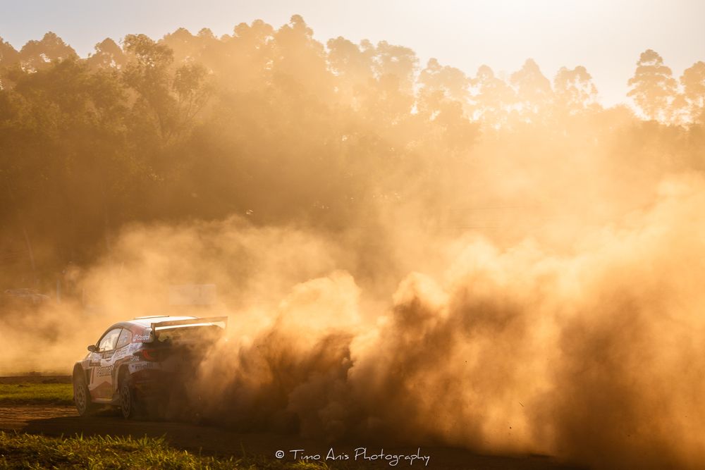 Rally car kicks up dust clouds while racing through a misty forest track at golden sunset.