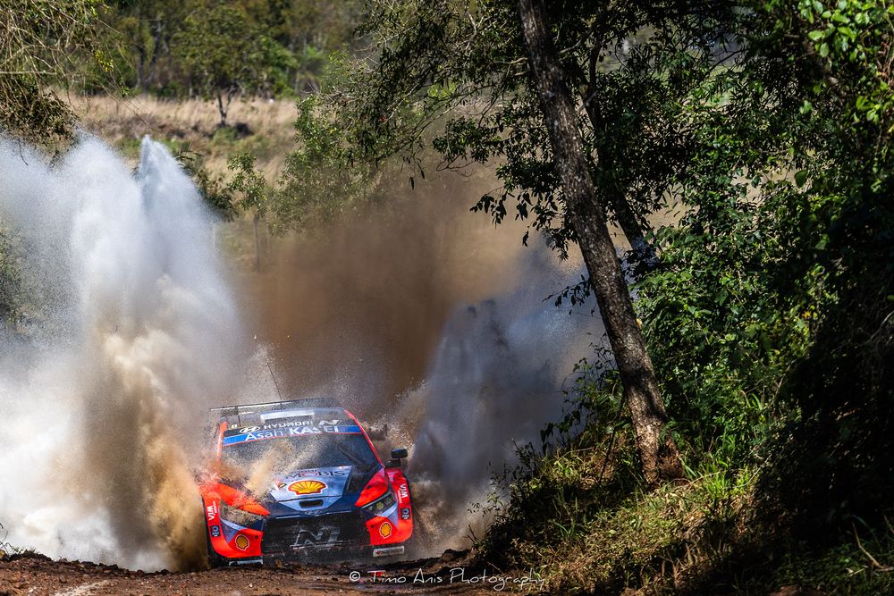 Rally car kicks up a dramatic cloud of dust while speeding through a forest course during competition.