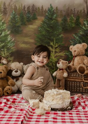 Smiling toddler in brown romper enjoys cake smash on red checkered blanket surrounded by teddy bears and forest backdrop.