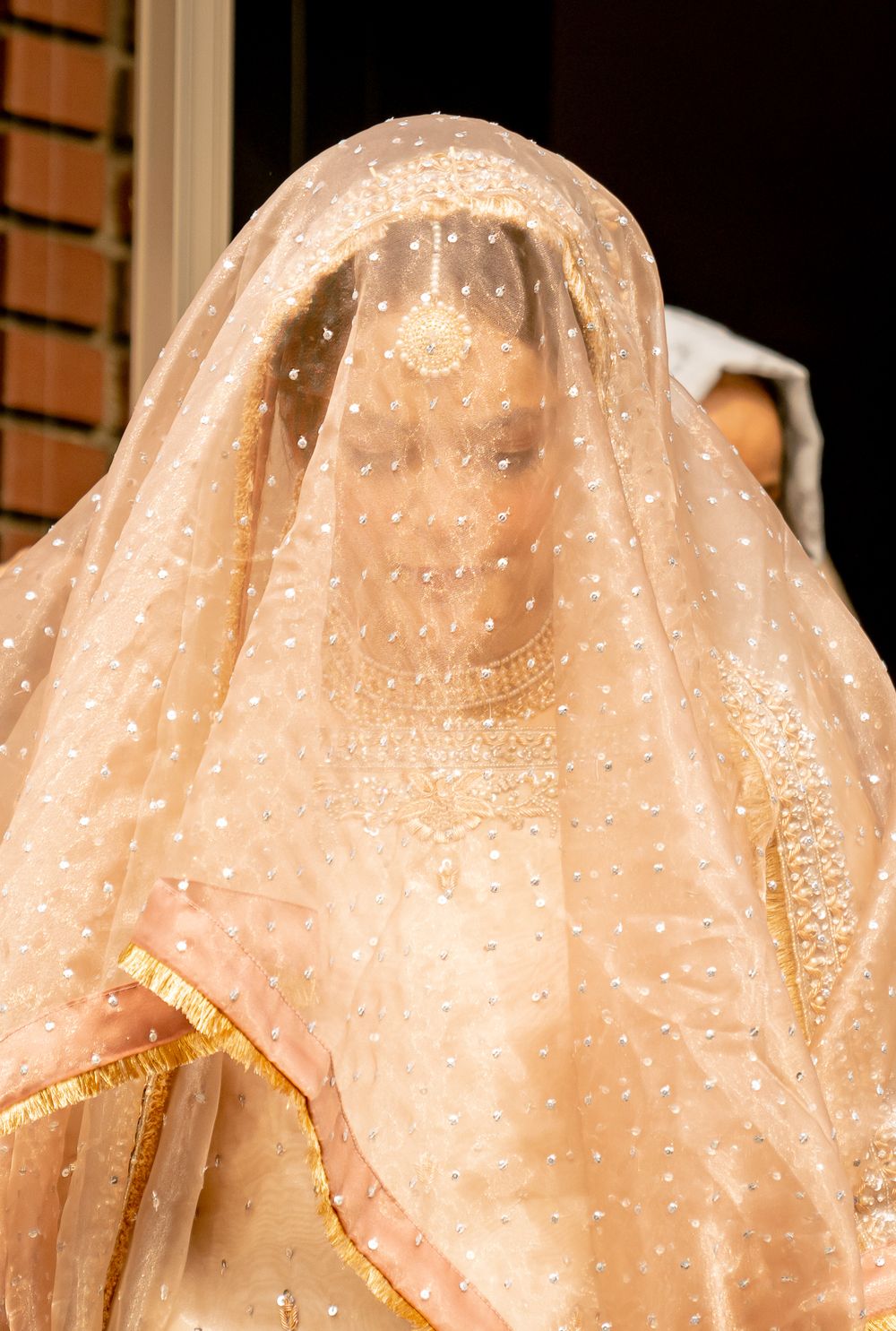 Delicate beige wedding veil with intricate embroidery and sparkle details.