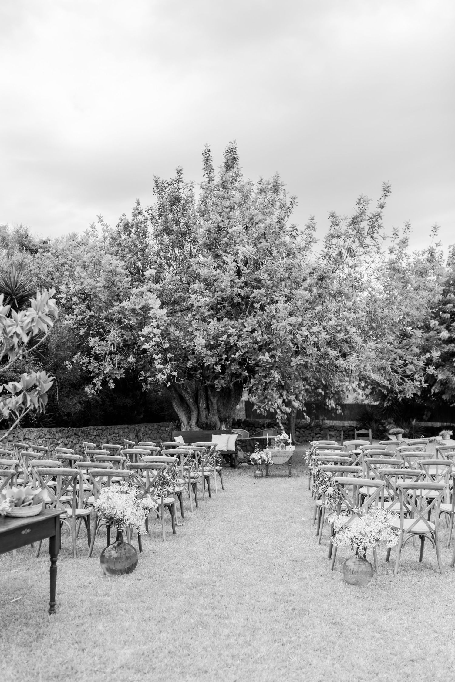 Schwarz-Weiß-Foto von leeren Stühlen, die in Reihen für eine Hochzeitszeremonie im Freien unter Bäumen auf einer Wiese aufgestellt sind.