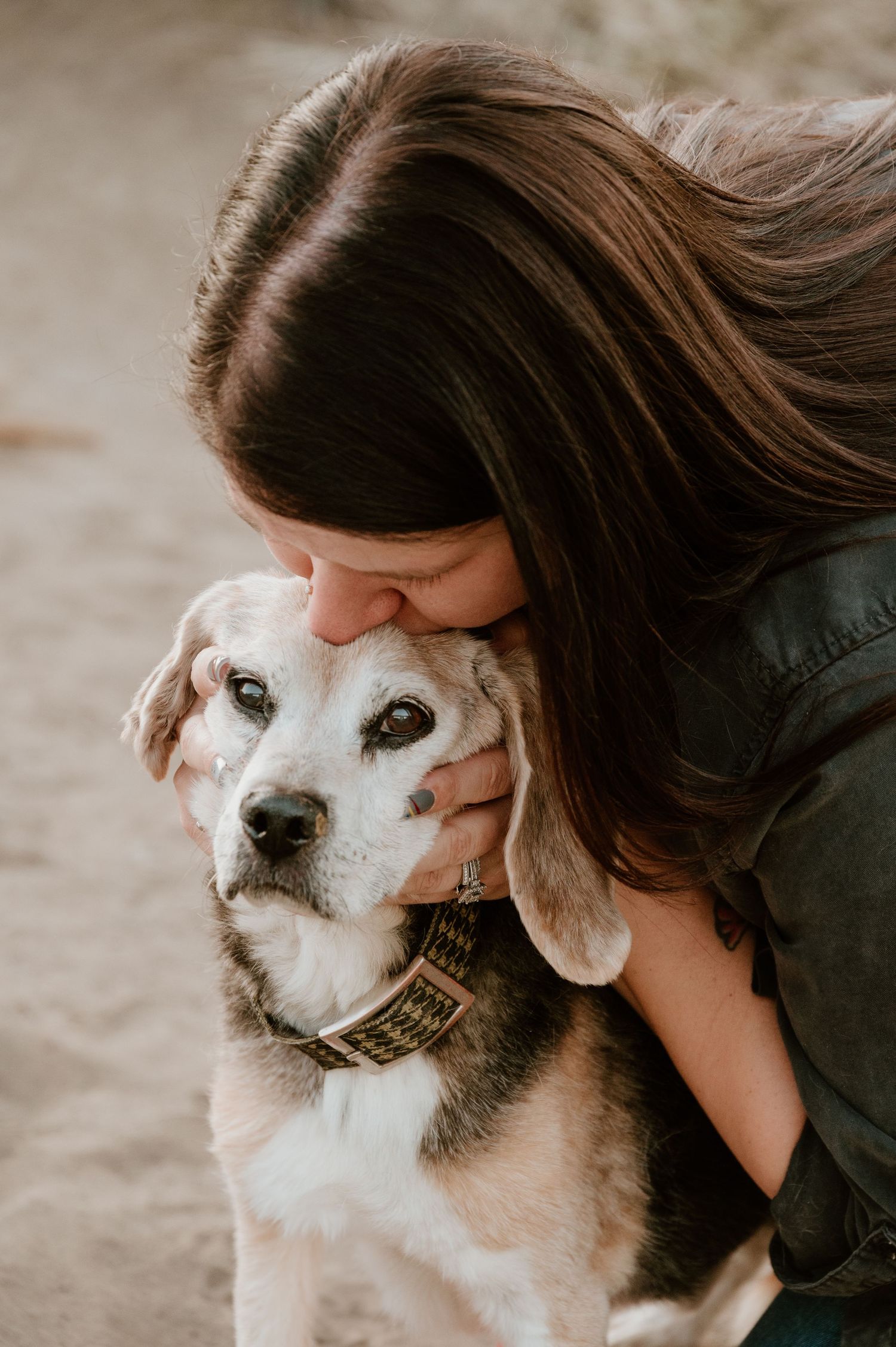 A tender moment between a person wearing green embracing and kissing a senior white and grey dog with a collar.