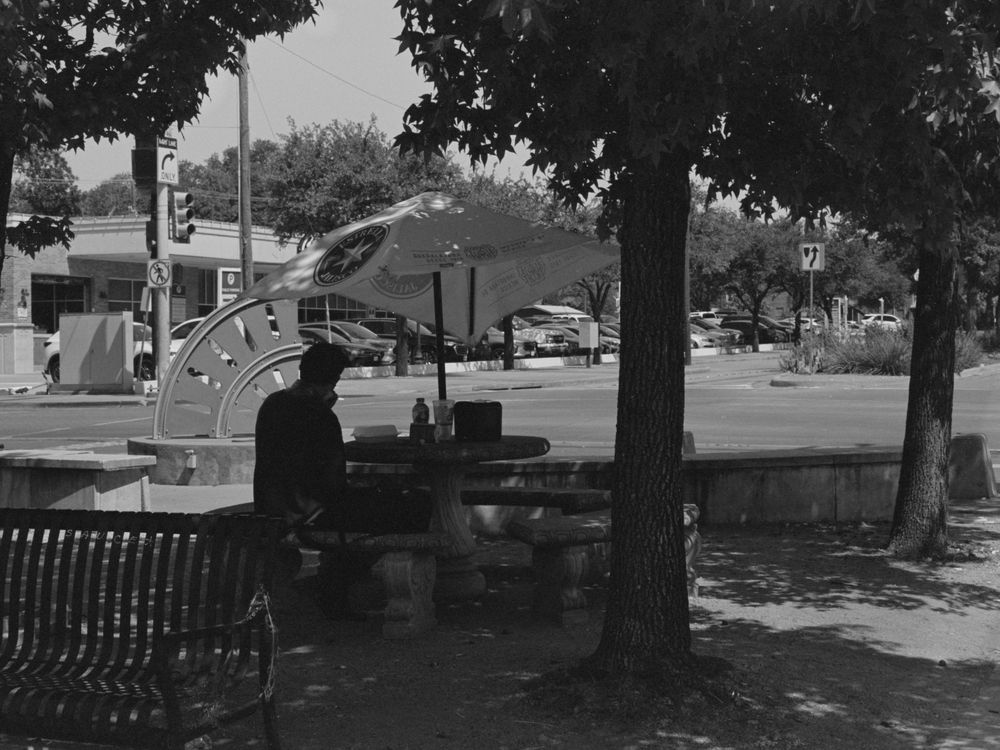 A collection of benches arranged under shady trees along a pathway in a park-like setting.