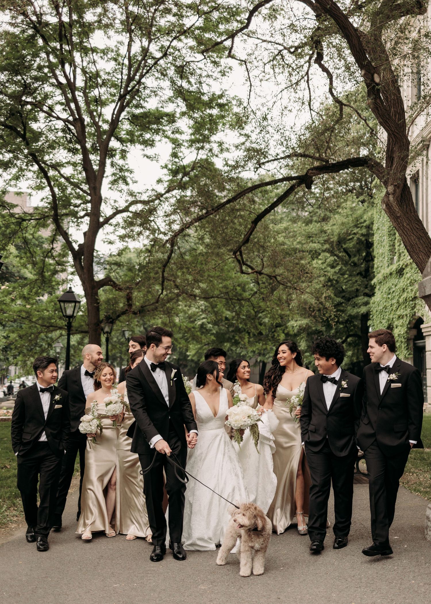 Wedding party in formal attire walks together outdoors on a tree-lined path in Old Montreal. By wedding photographer, Aliza Dworkind.