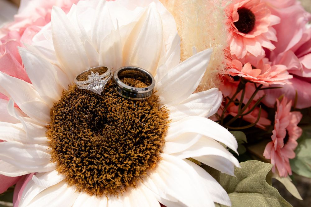 Close-up photograph of pink petals and white daisy flowers with dark brown centers in soft lighting conditions.