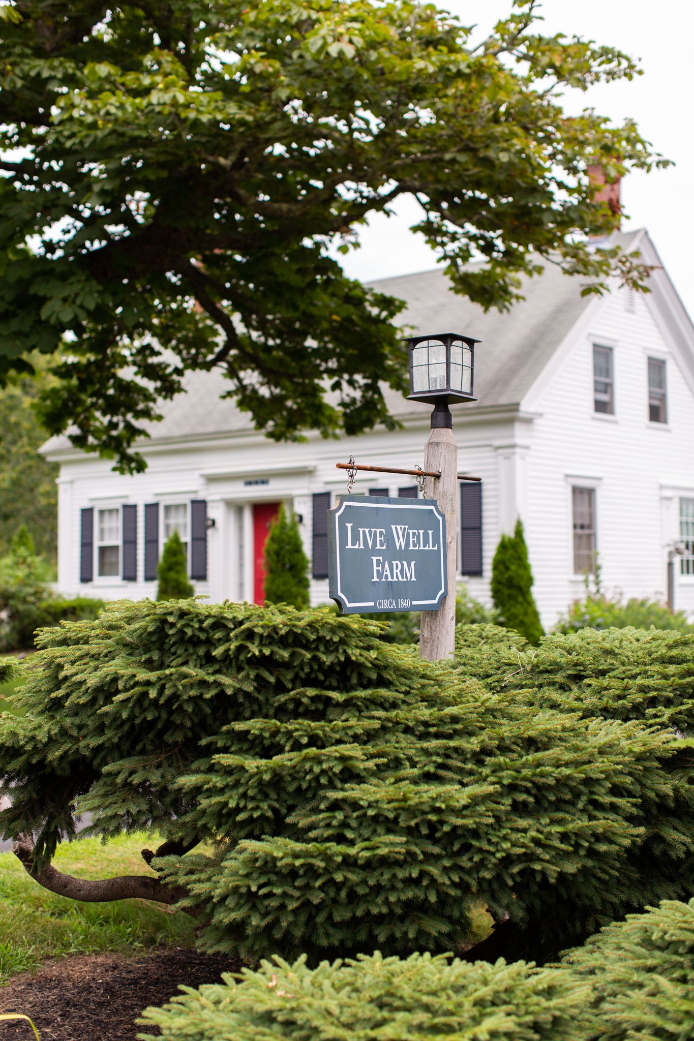 Live Well Farm sign in front of white farmhouse with mature trees and landscaping.