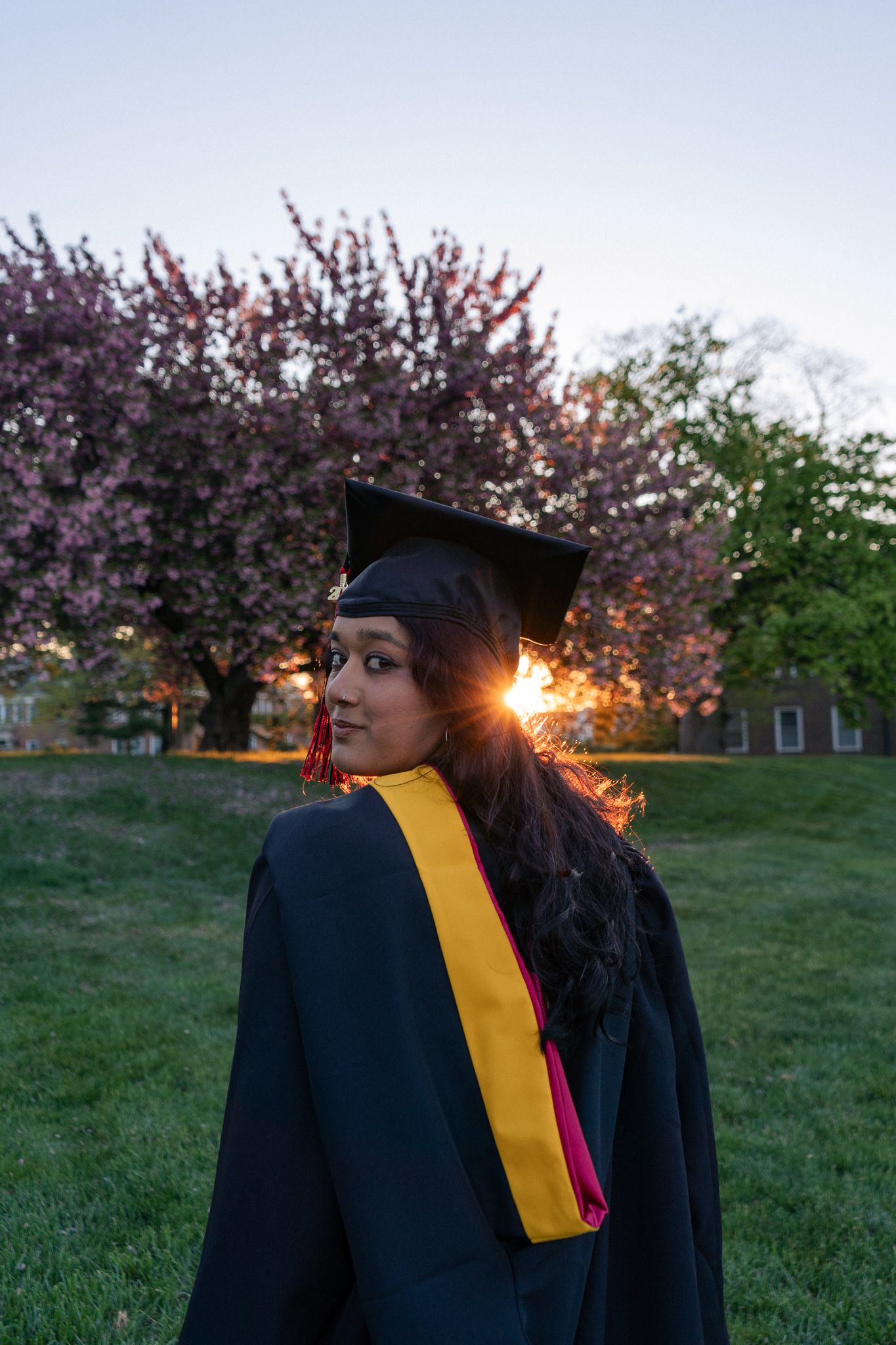 Graduate in cap and gown with yellow sash poses at sunset near blooming cherry trees on green campus lawn.