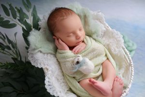 Peaceful newborn sleeping in cream wrap on lace backdrop with green foliage accents.