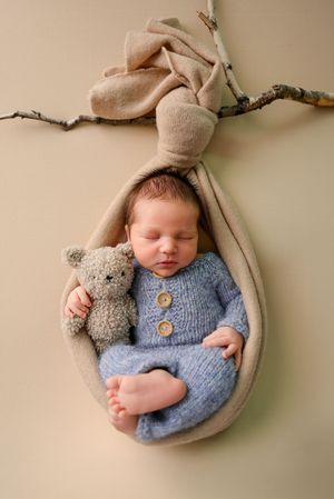 Newborn baby in blue knit outfit sleeping in beige pod prop with teddy bear, hanging from branch on green background.