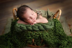 Newborn sleeping on green textured blanket in rustic basket with natural decorative elements.