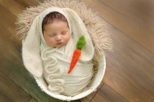 Newborn portrait series with bunny outfit and decorative carrot prop.