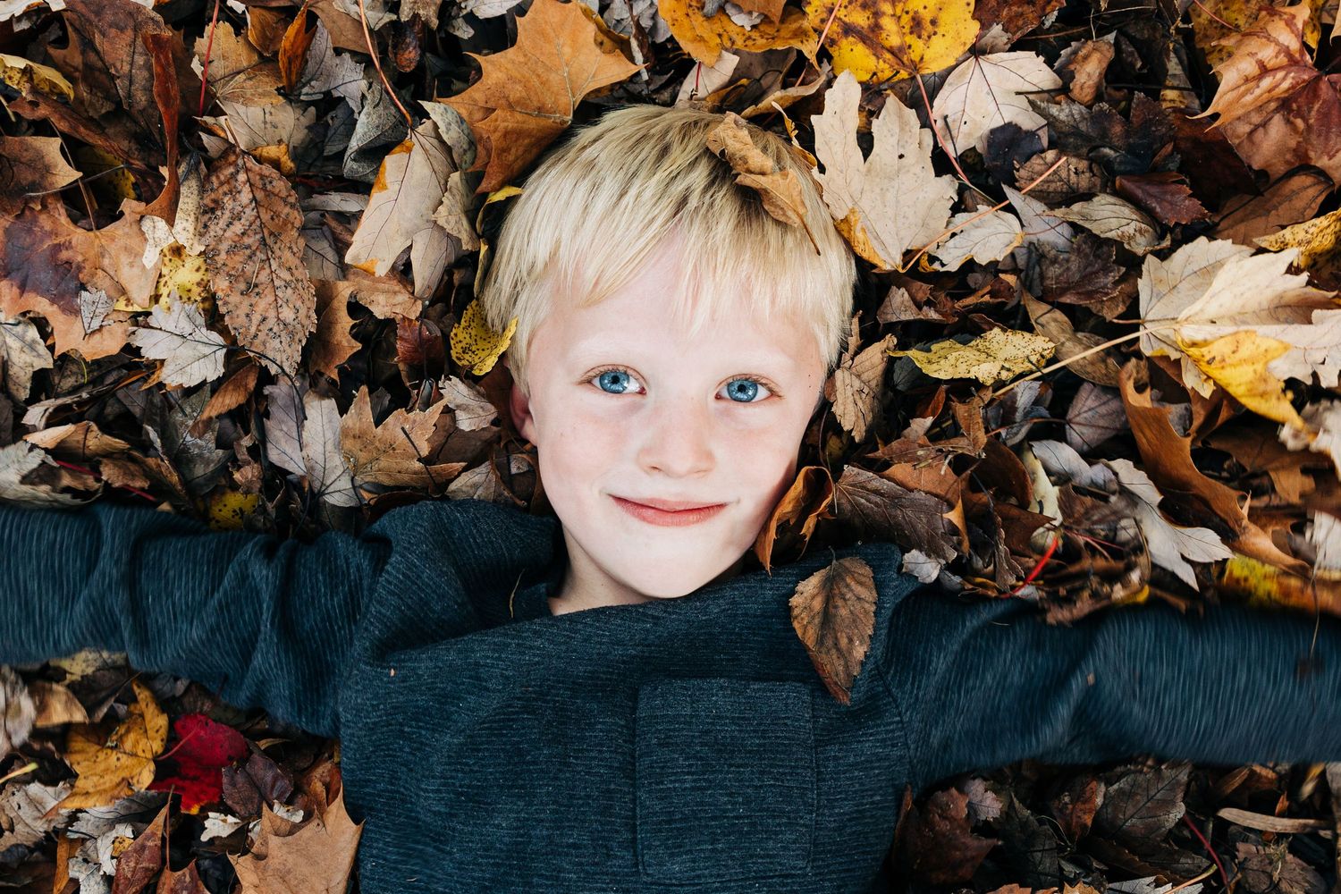 An autumn scene of a boy laying in the fall leaves shot from above in Charlotte, NC