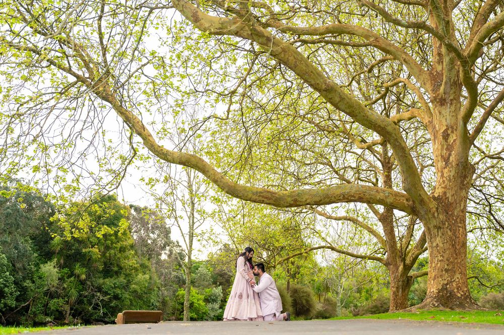 A couple stands beneath sprawling tree branches in a romantic garden setting during golden hour.