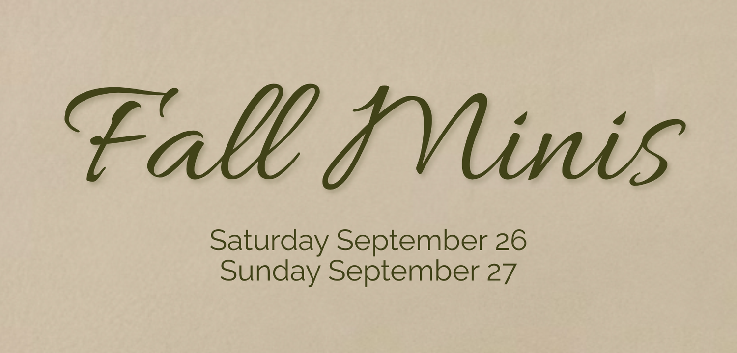 Fall mini photography sessions advertisement featuring outdoor autumn portraits with dogs and sunflower graphic elements.