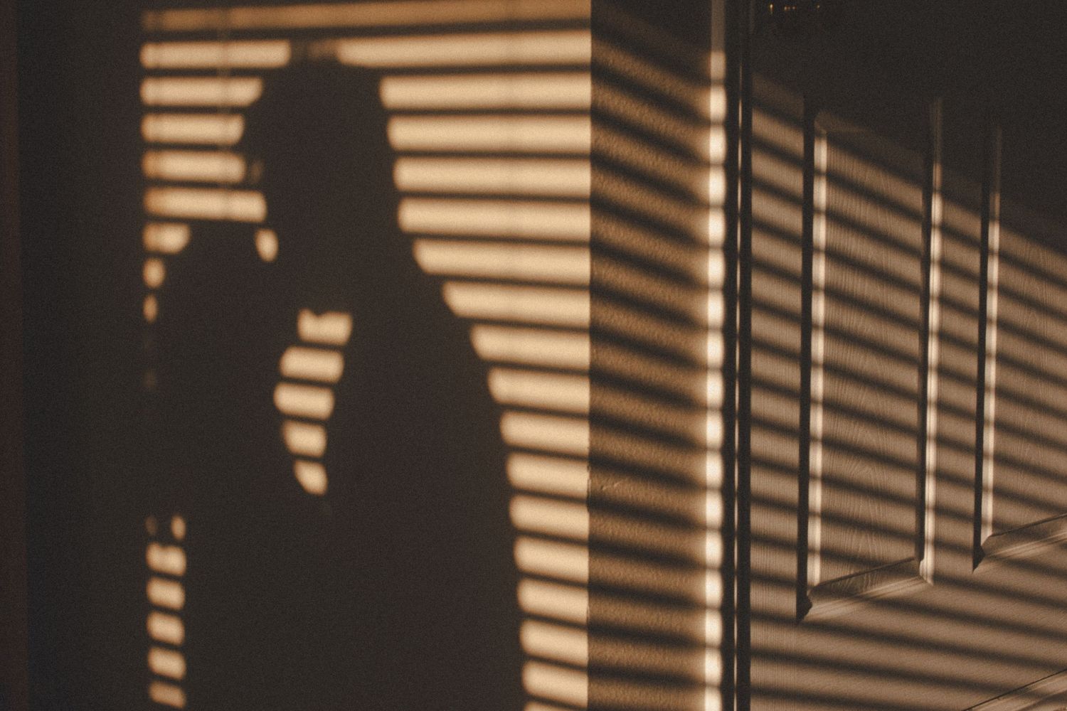 Silhouette of  couple kisses in a cinematic moment in an Utah apartment.