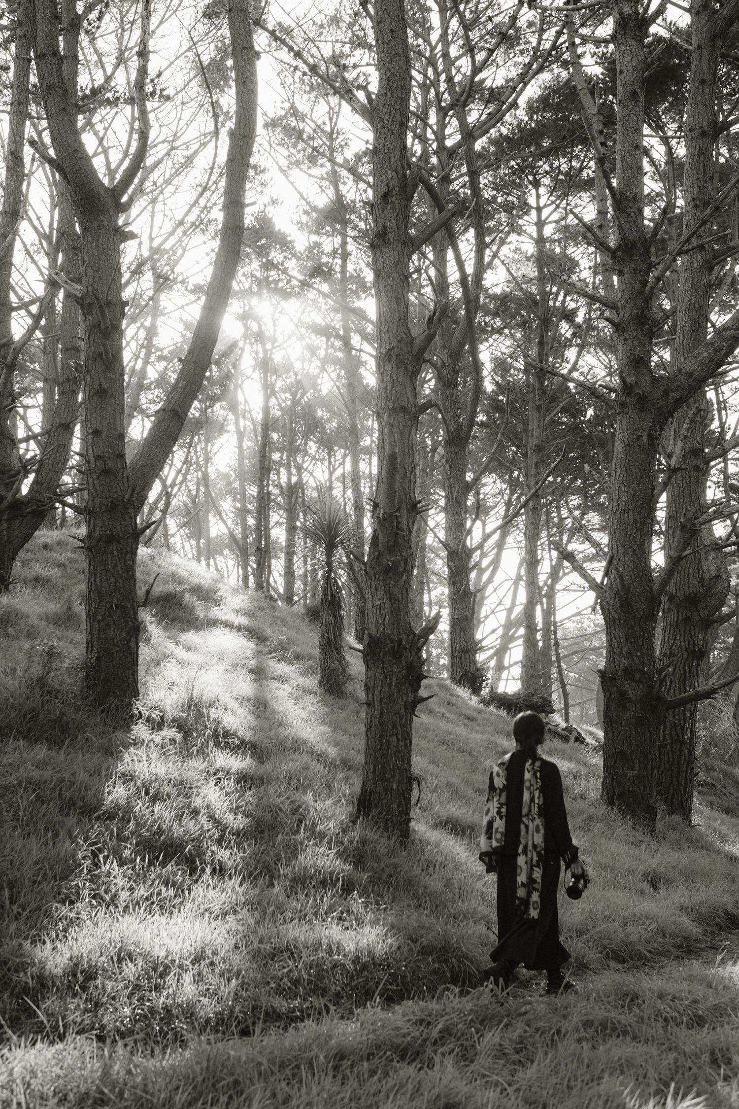 A silhouetted figure stands among tall trees on a misty hillside path in black and white.