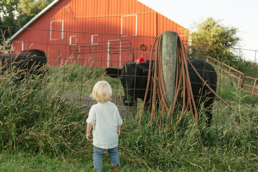 woodbine photographer, iowa