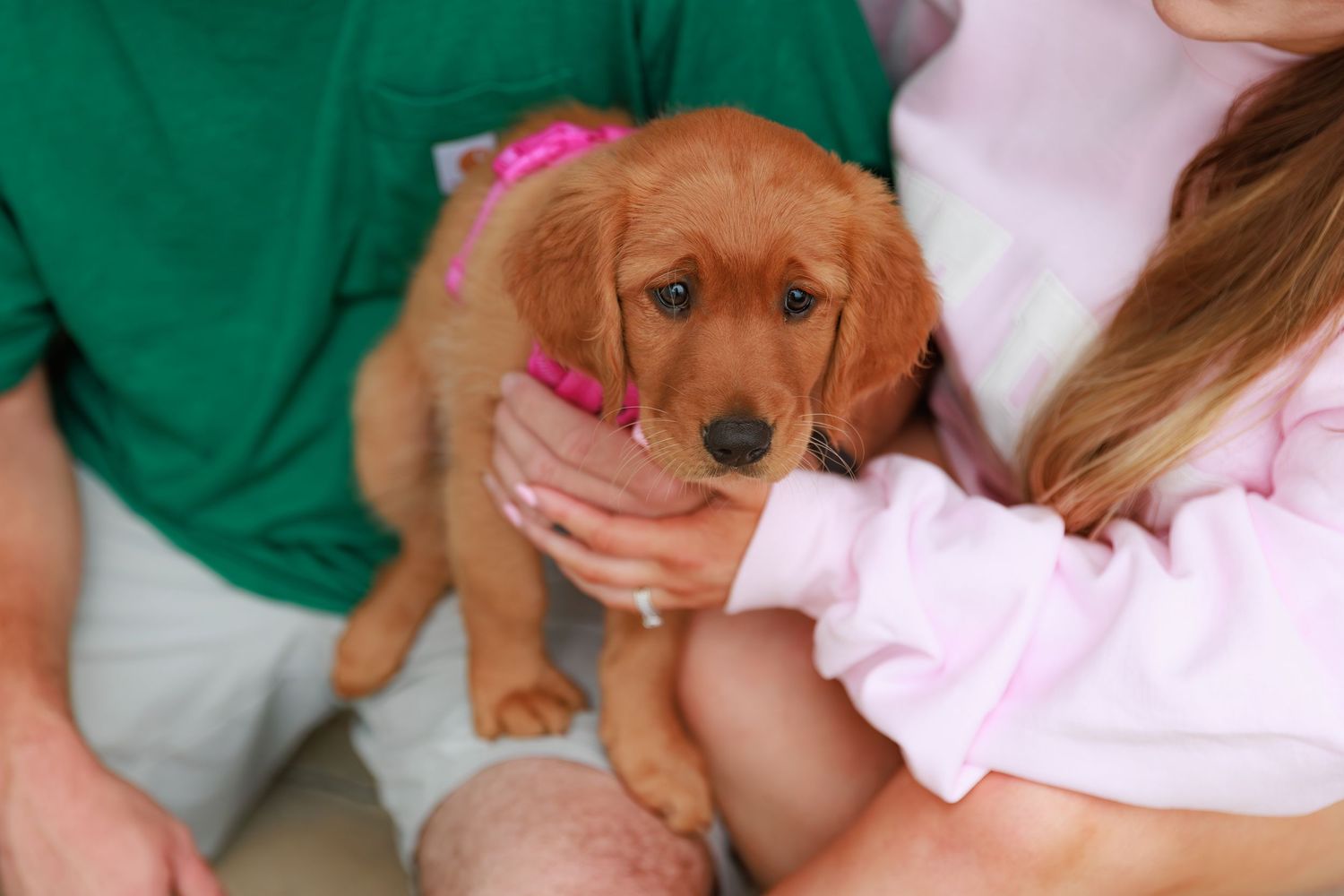 A small brown dachshund puppy being held and cuddled in someone's arms wearing green and pink clothing.