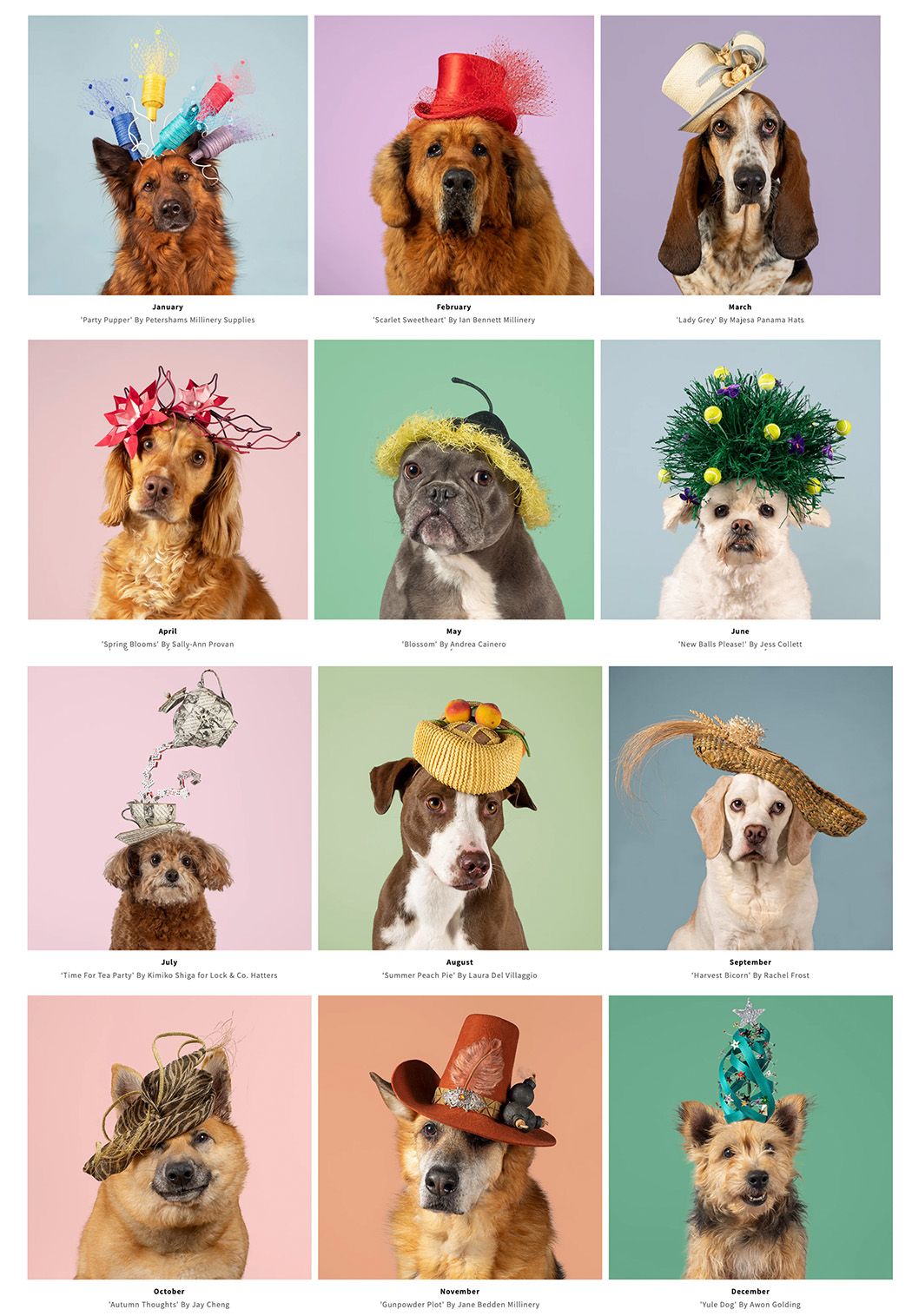 Haute Dogs calendar 2025 images