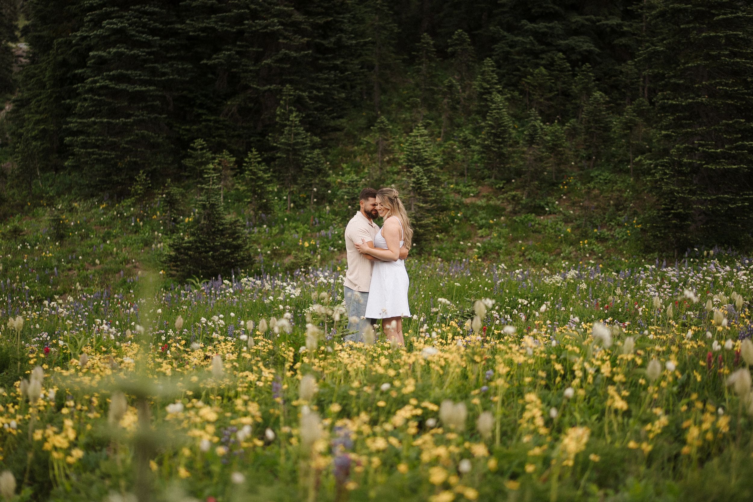 Scenic mountain meadow with yellow wildflowers and evergreen trees in background.